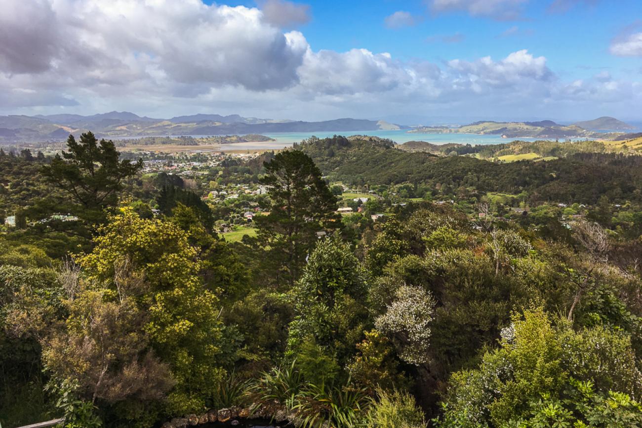 Driving Creek Railway, view from the Eyefull Tower