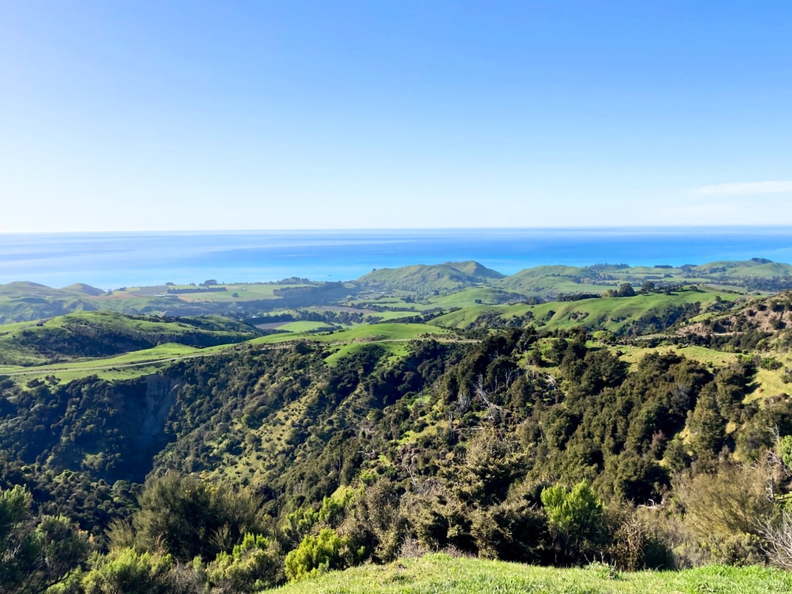 Bluff Station