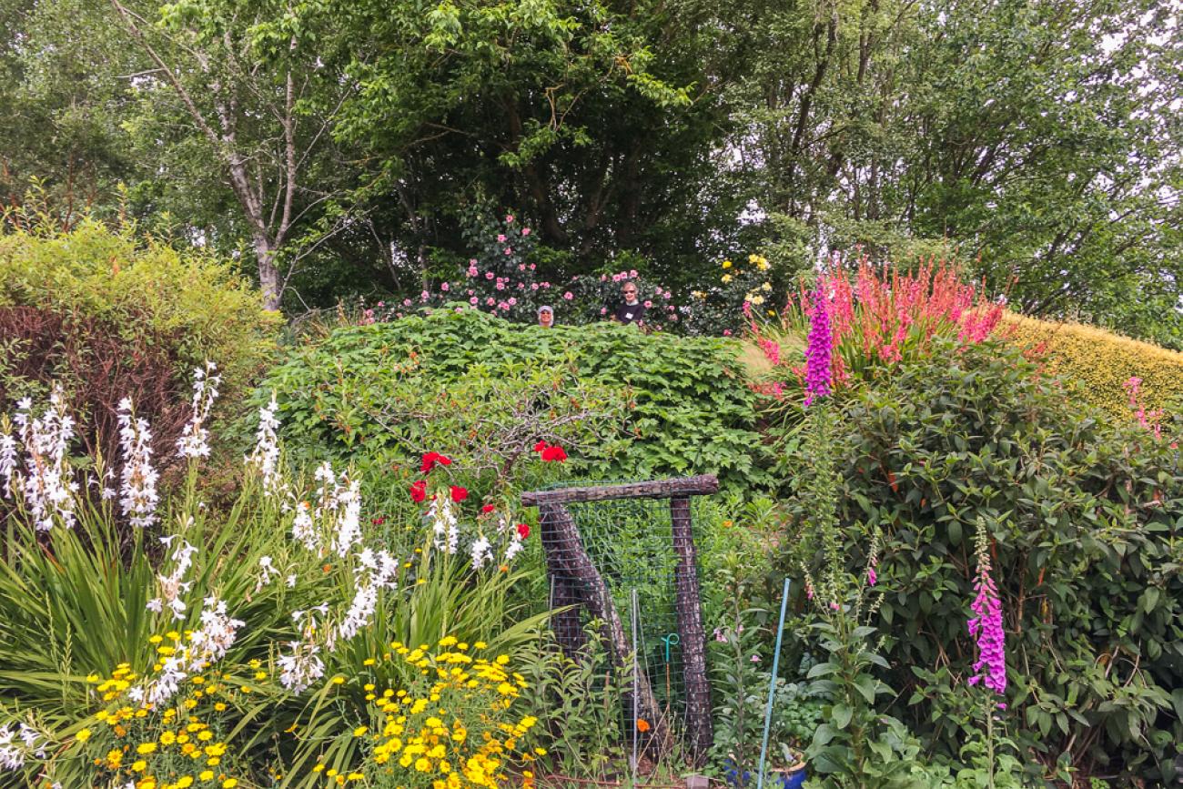 Spectacular Parkwood Garden in Otorohanga