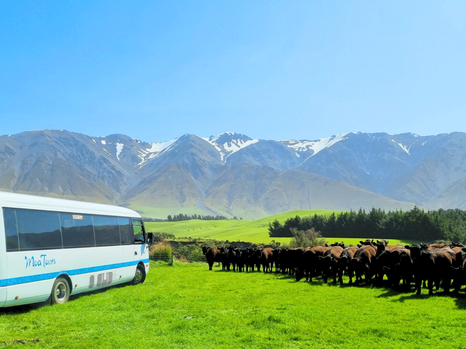 Coach parked on Cleardale Station Farm