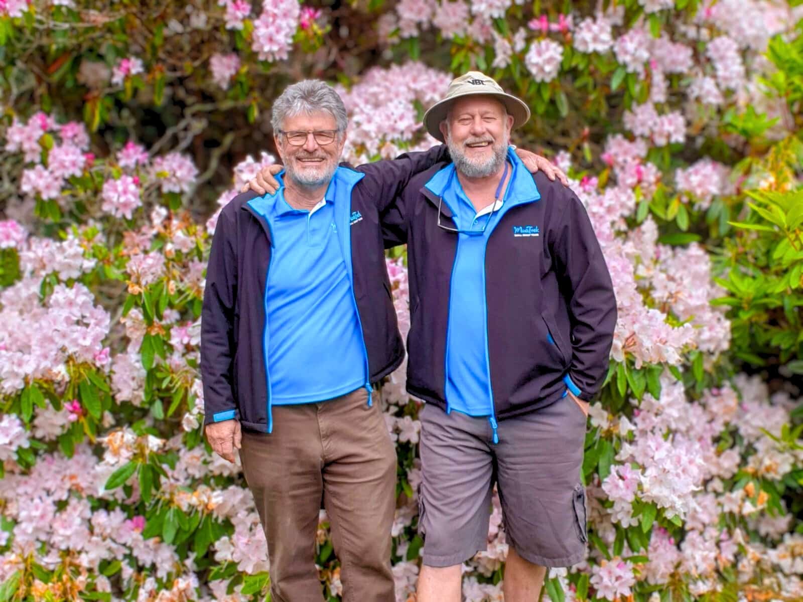 Kiwi Guides Rhododendrons